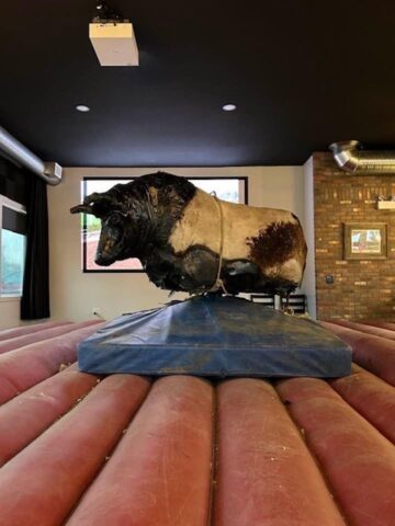 Cyclone the Mechanical Bull