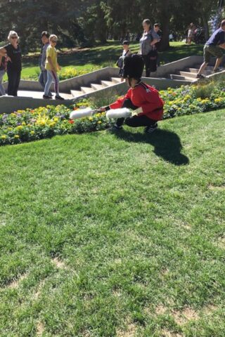 AR Royal Guard & Flowers